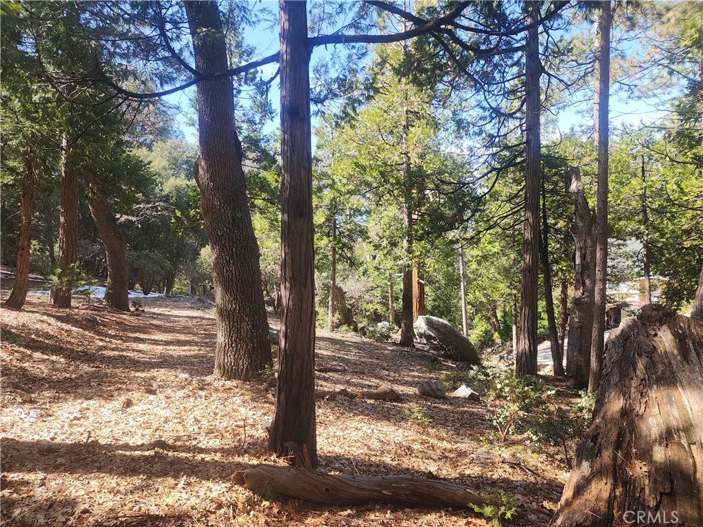 52547 Pine Cove