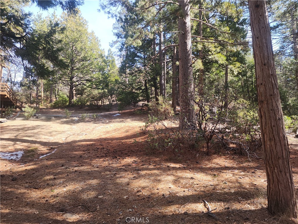 52547 Pine Cove
