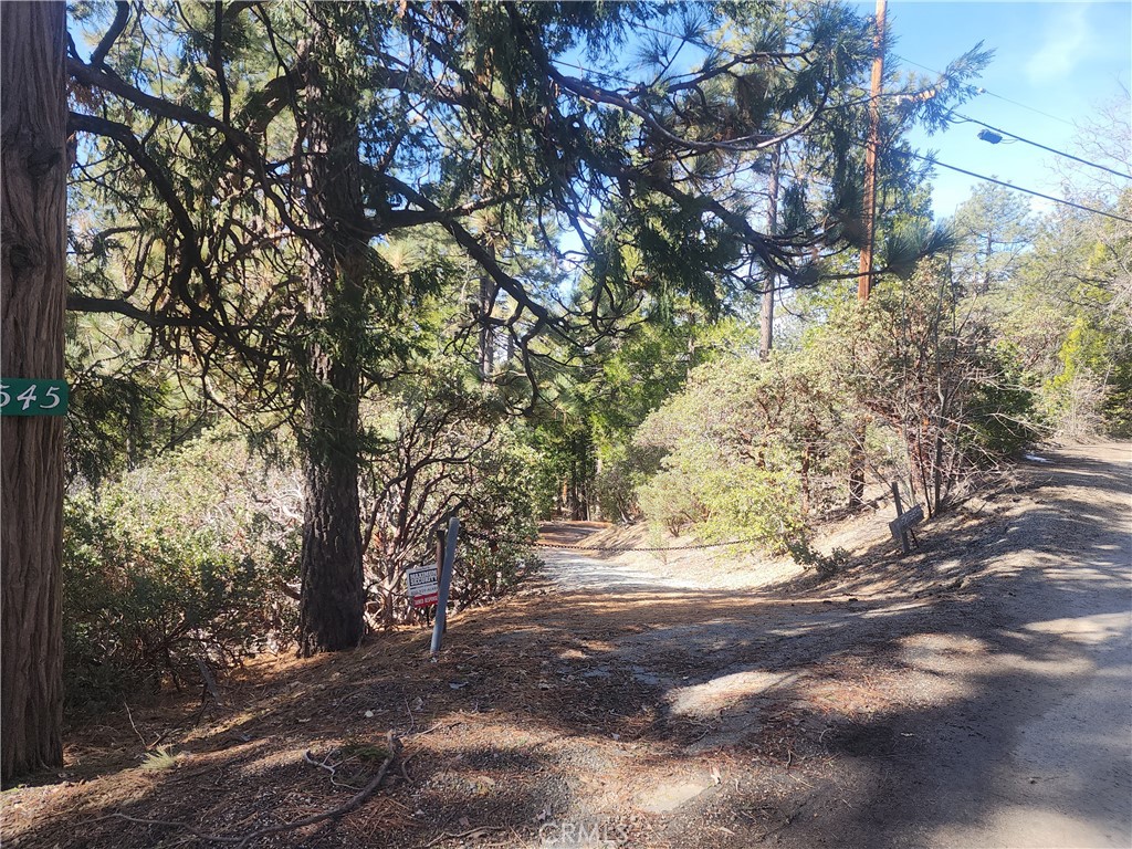 52547 Pine Cove