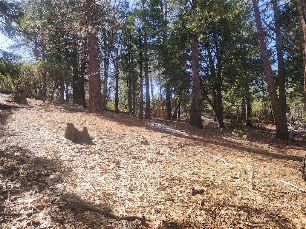 52547 Pine Cove