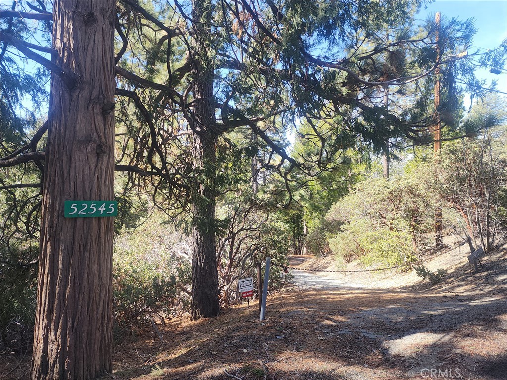52547 Pine Cove