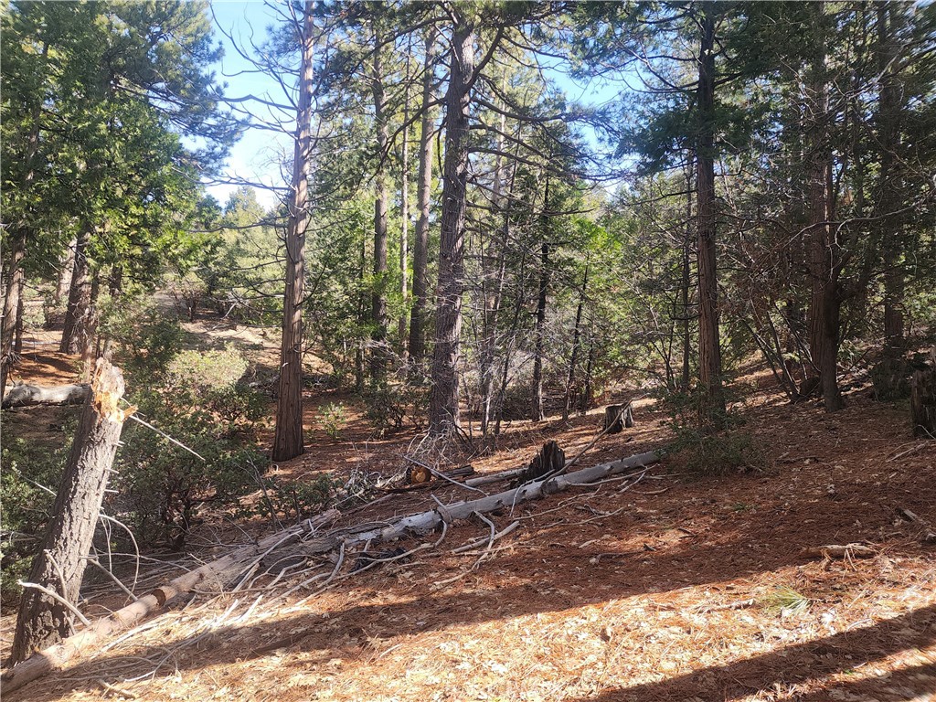 52547 Pine Cove