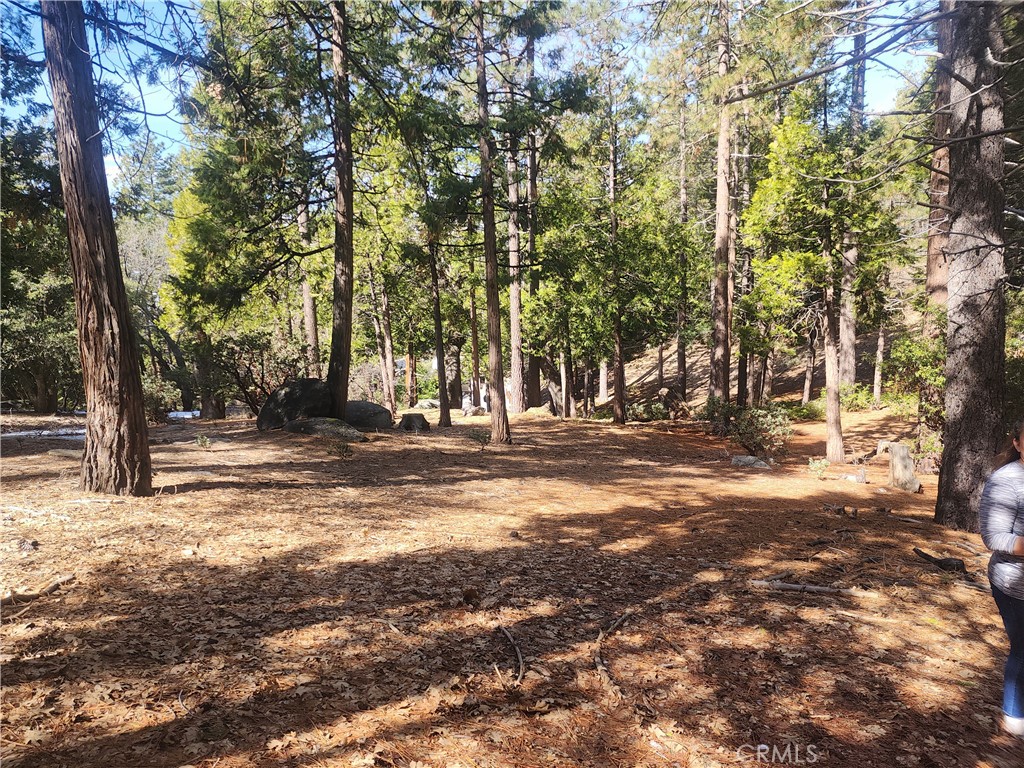 52547 Pine Cove