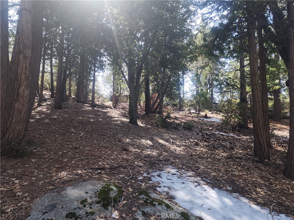 52547 Pine Cove