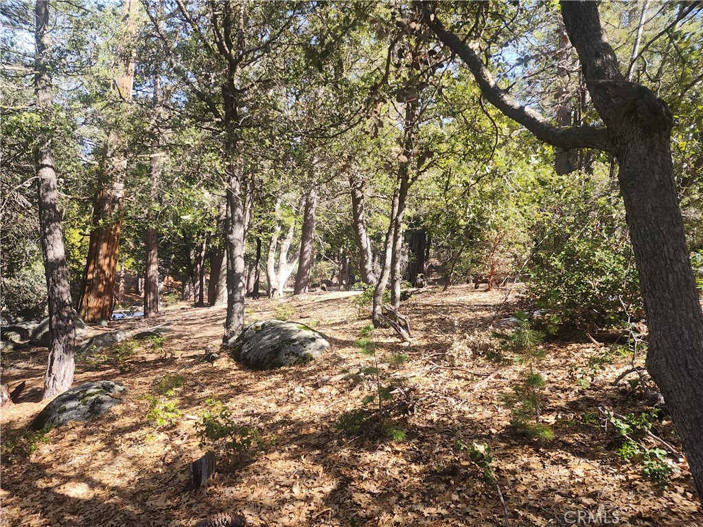 52547 Pine Cove
