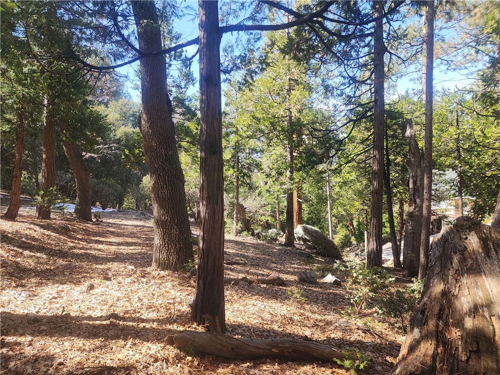 52547 Pine Cove