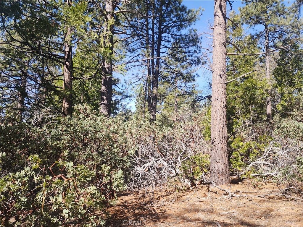 52547 Pine Cove