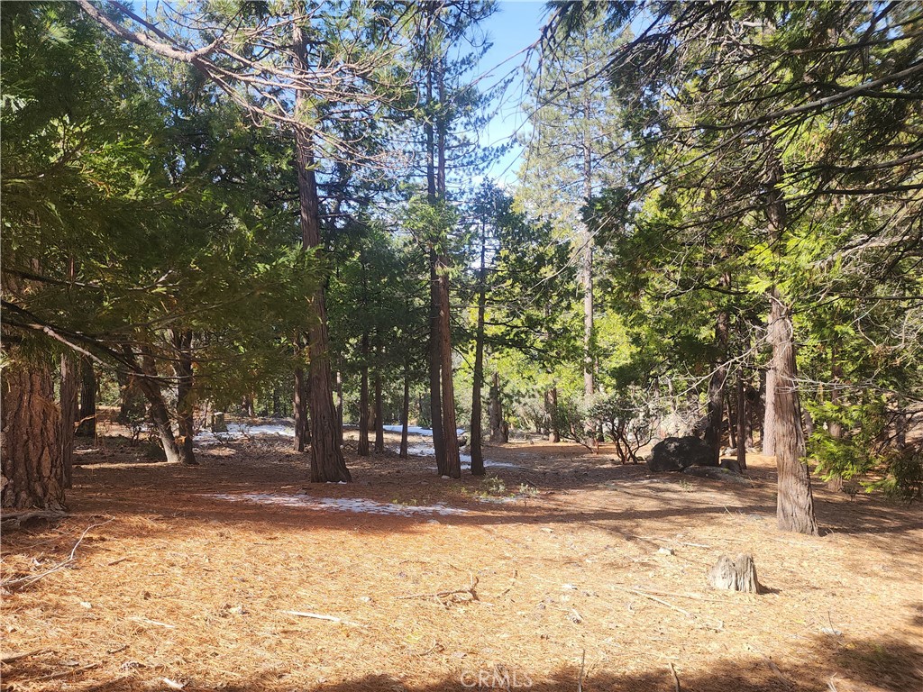 52547 Pine Cove