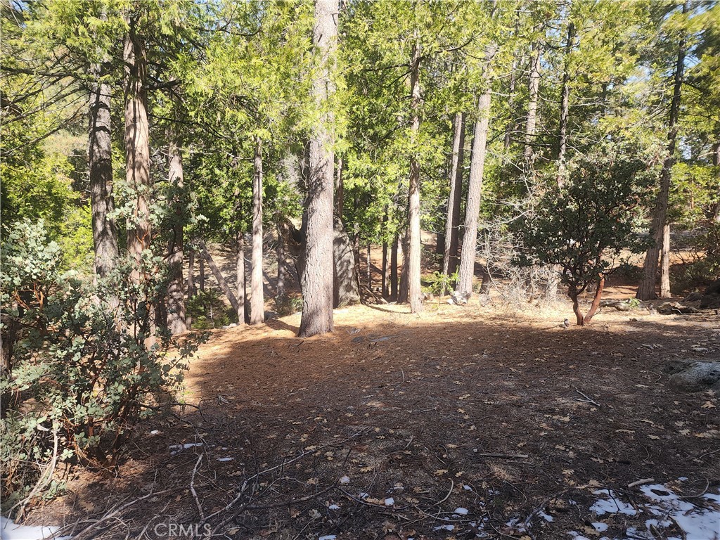 52547 Pine Cove