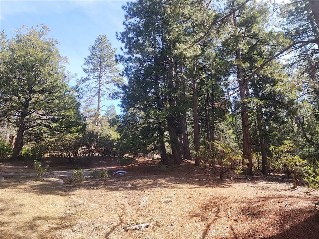 52547 Pine Cove