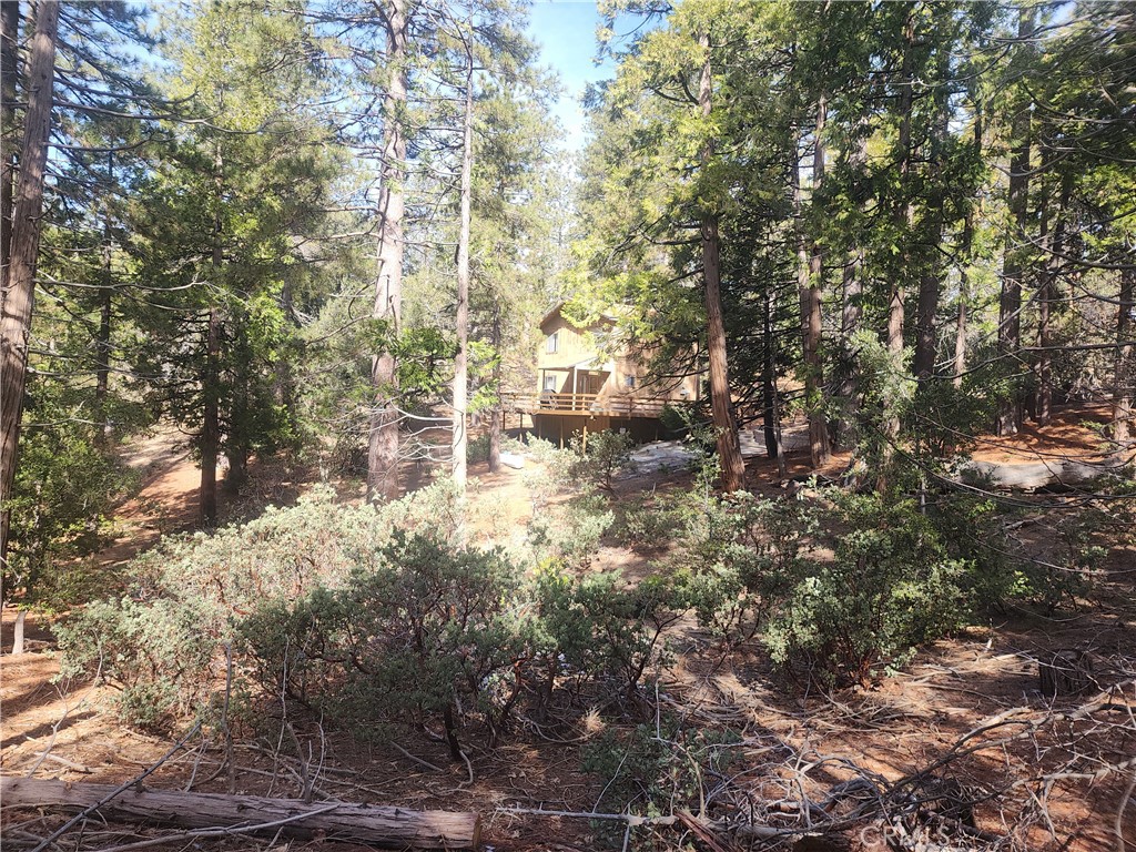 52547 Pine Cove