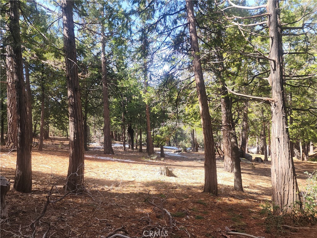 52547 Pine Cove