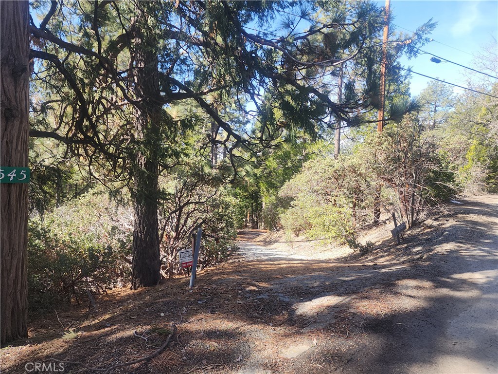 52547 Pine Cove