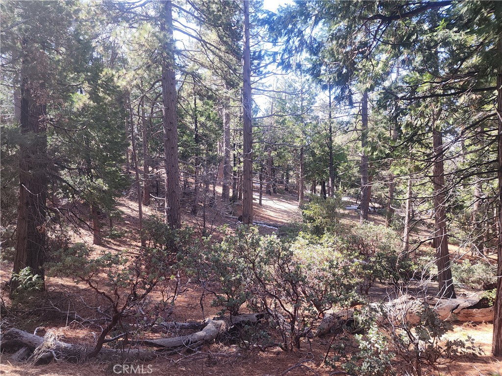 52547 Pine Cove