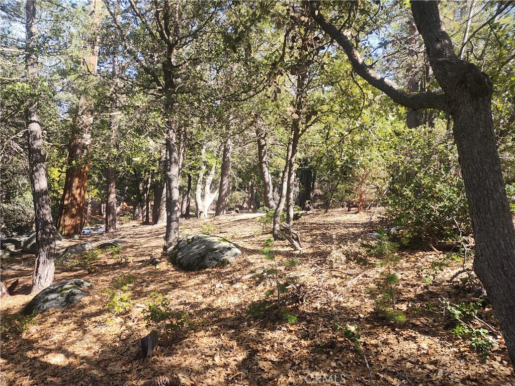 52547 Pine Cove