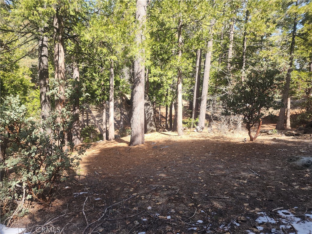 52547 Pine Cove