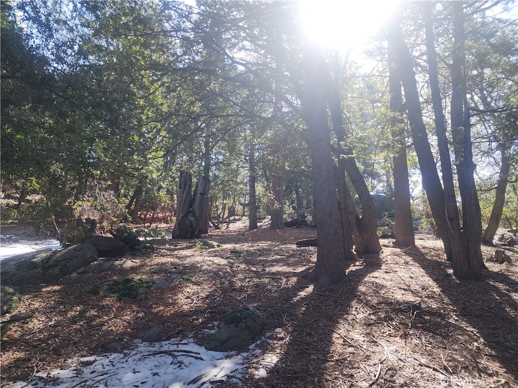 52547 Pine Cove