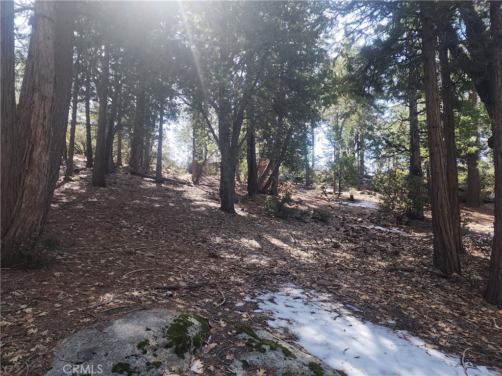 52547 Pine Cove