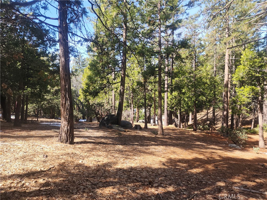 52547 Pine Cove