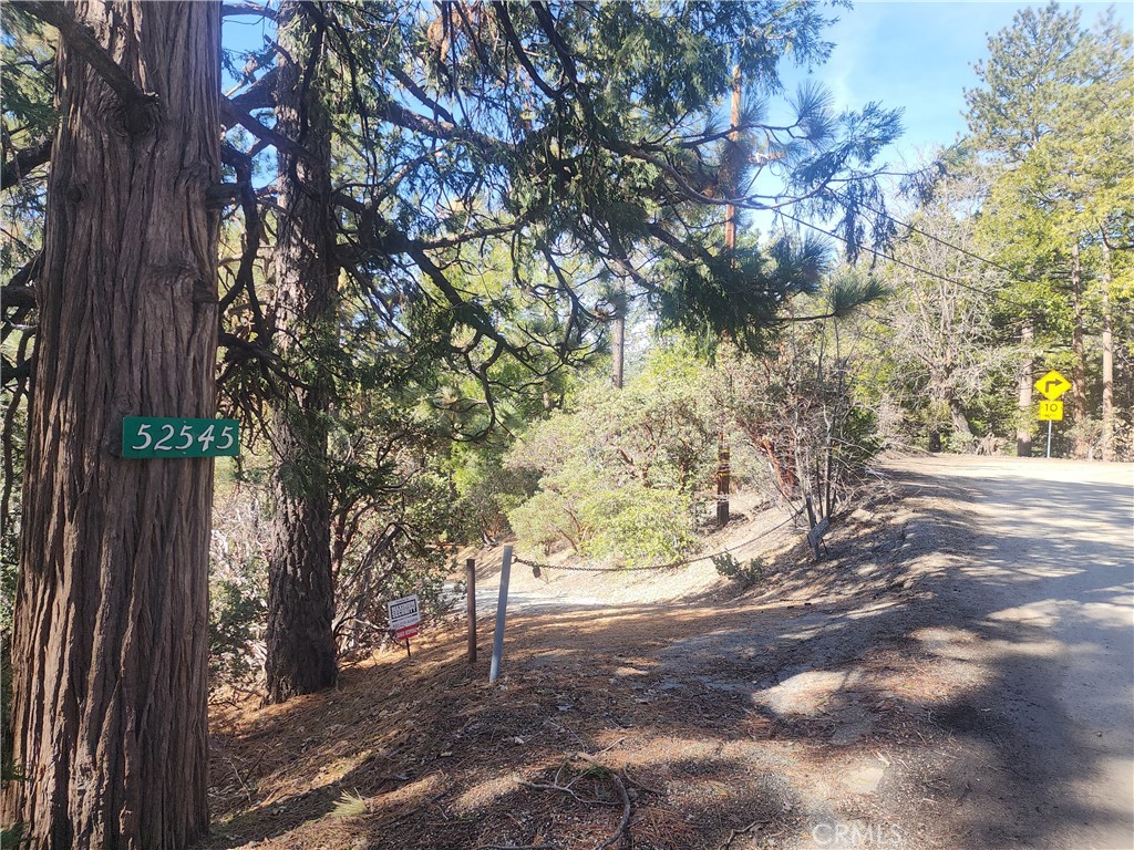 52547 Pine Cove
