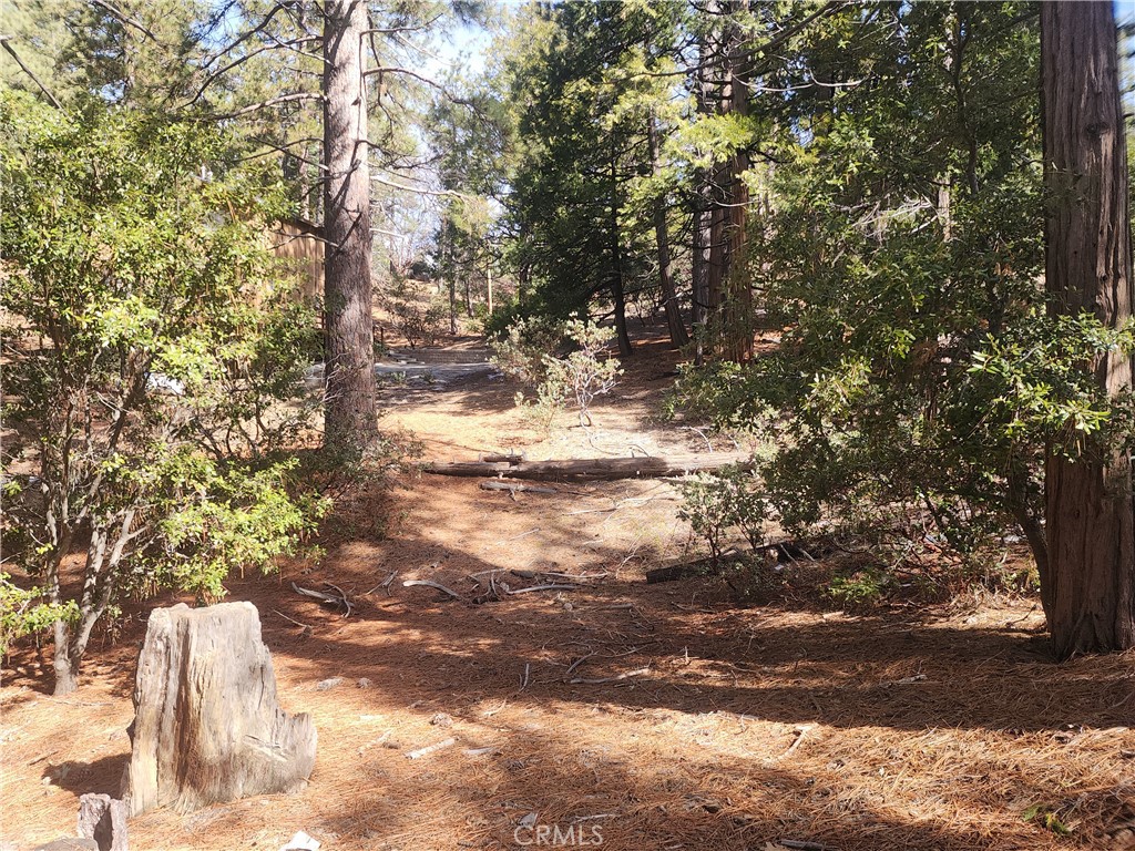 52547 Pine Cove