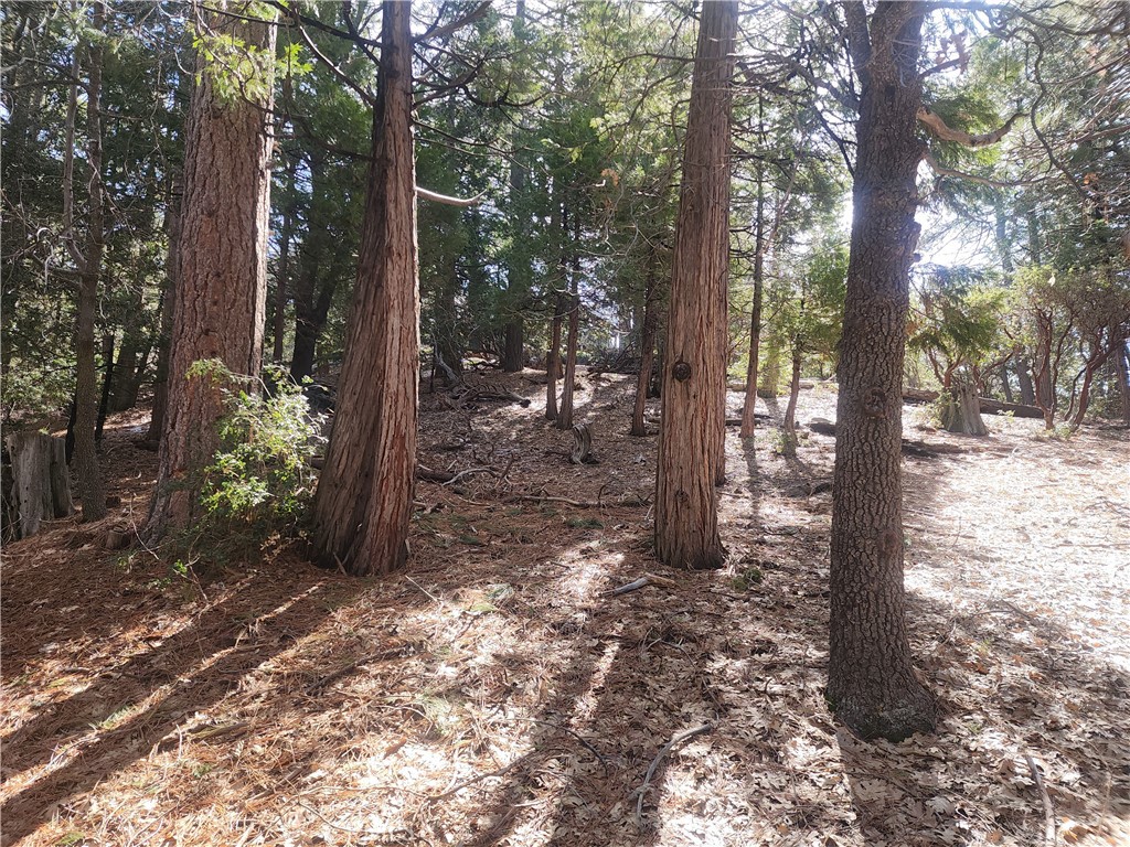 52547 Pine Cove
