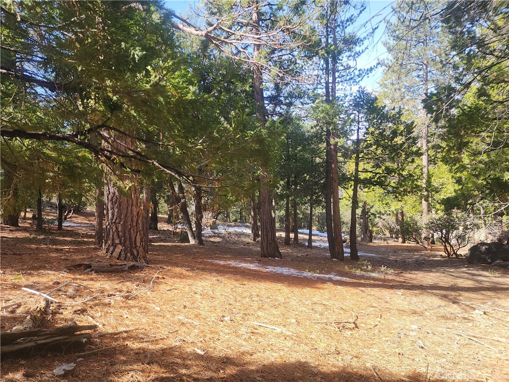 52547 Pine Cove