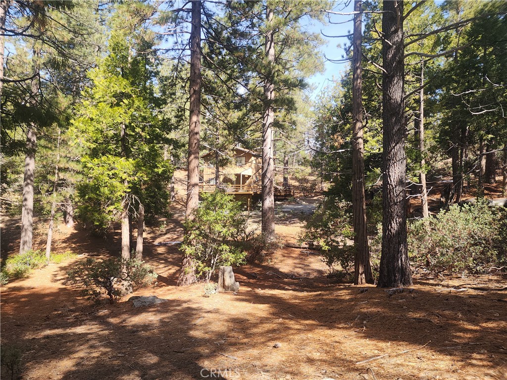 52547 Pine Cove