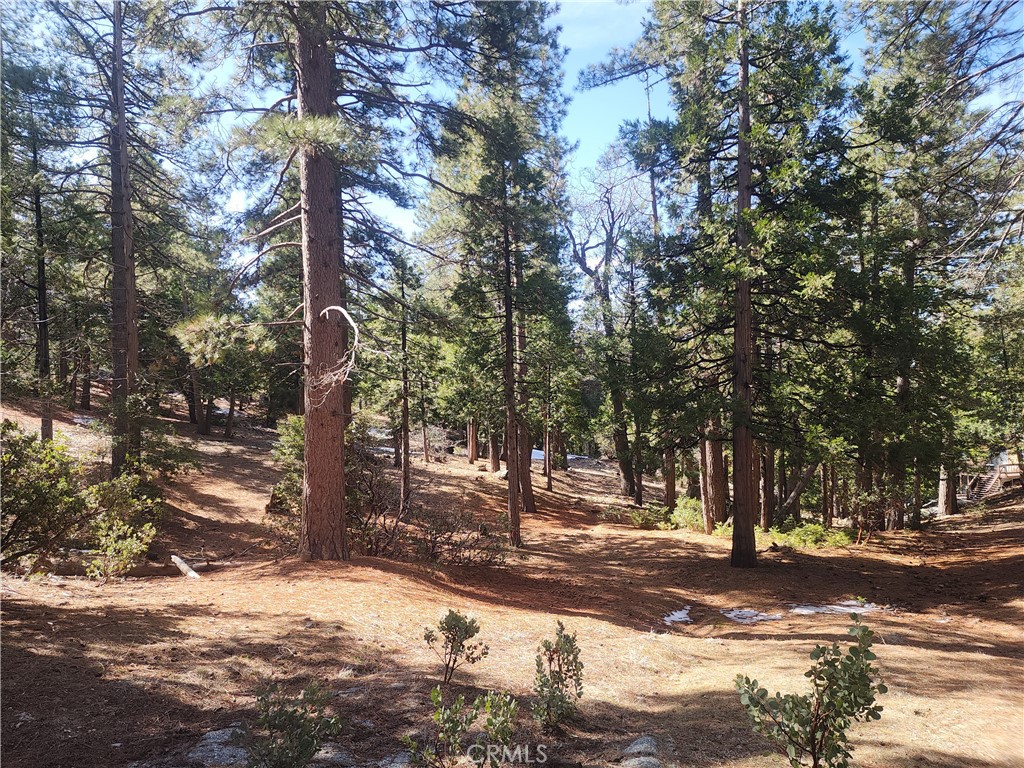 52547 Pine Cove