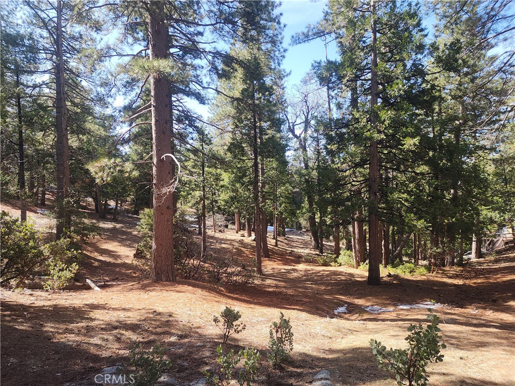52547 Pine Cove