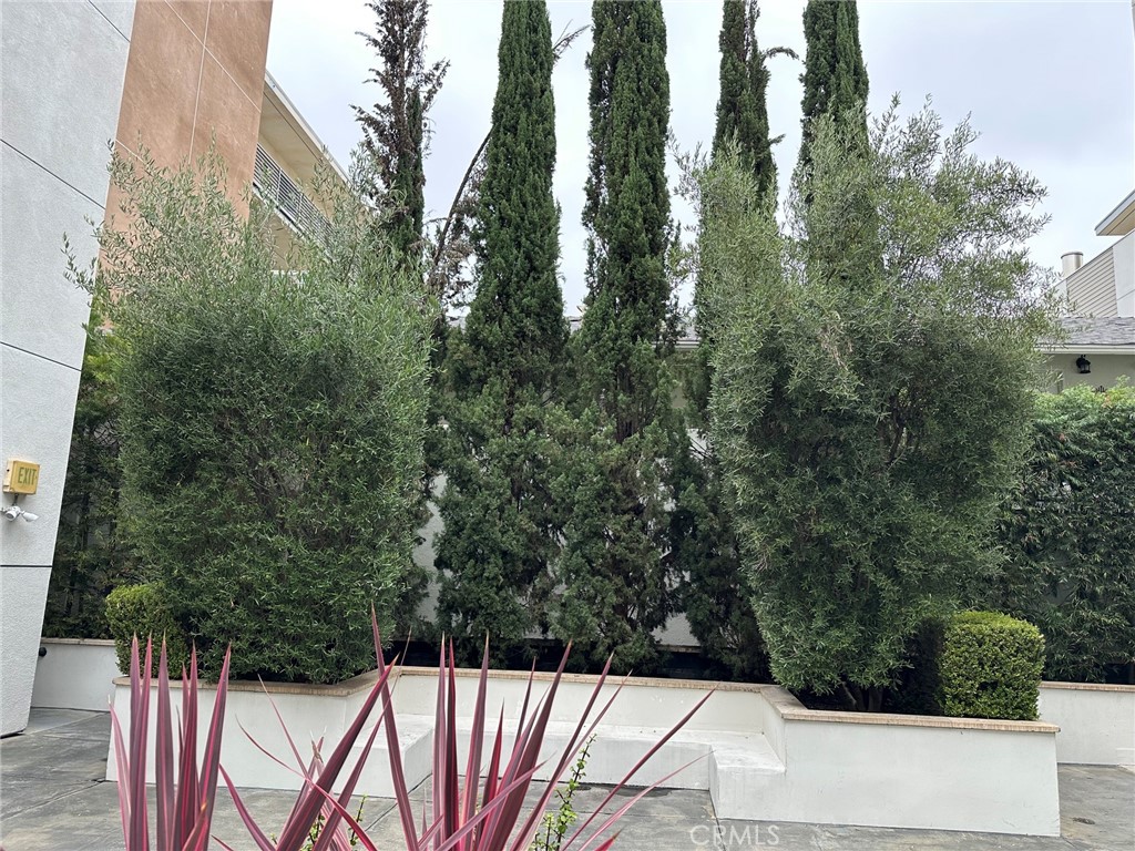 238 S Arroyo 213