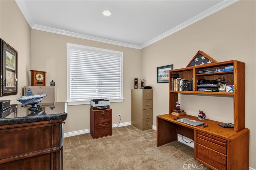16595 Almaden
