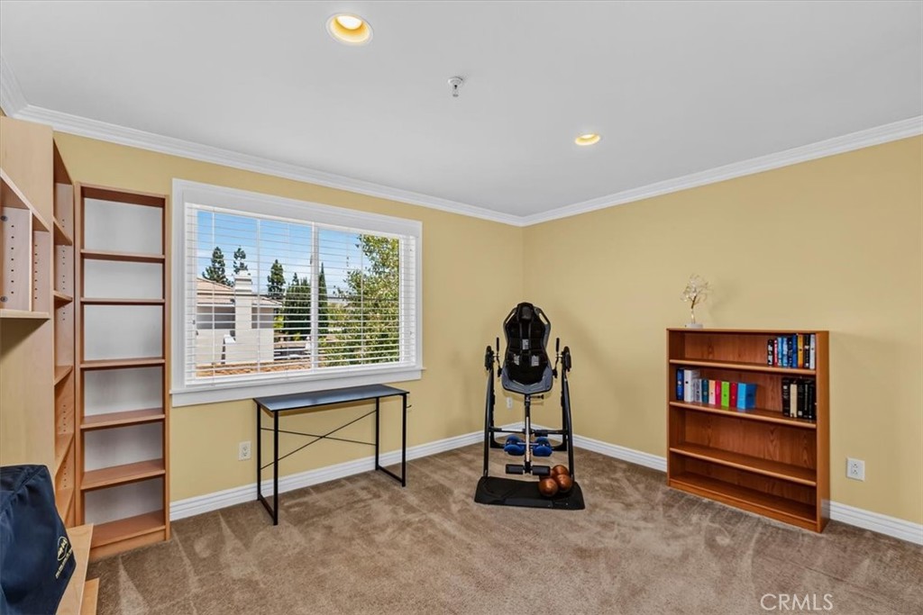 16595 Almaden