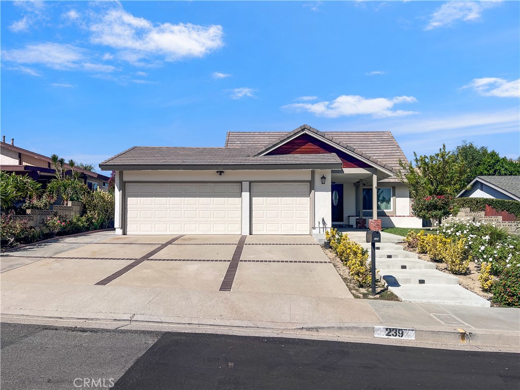 239 N Palo Cedro