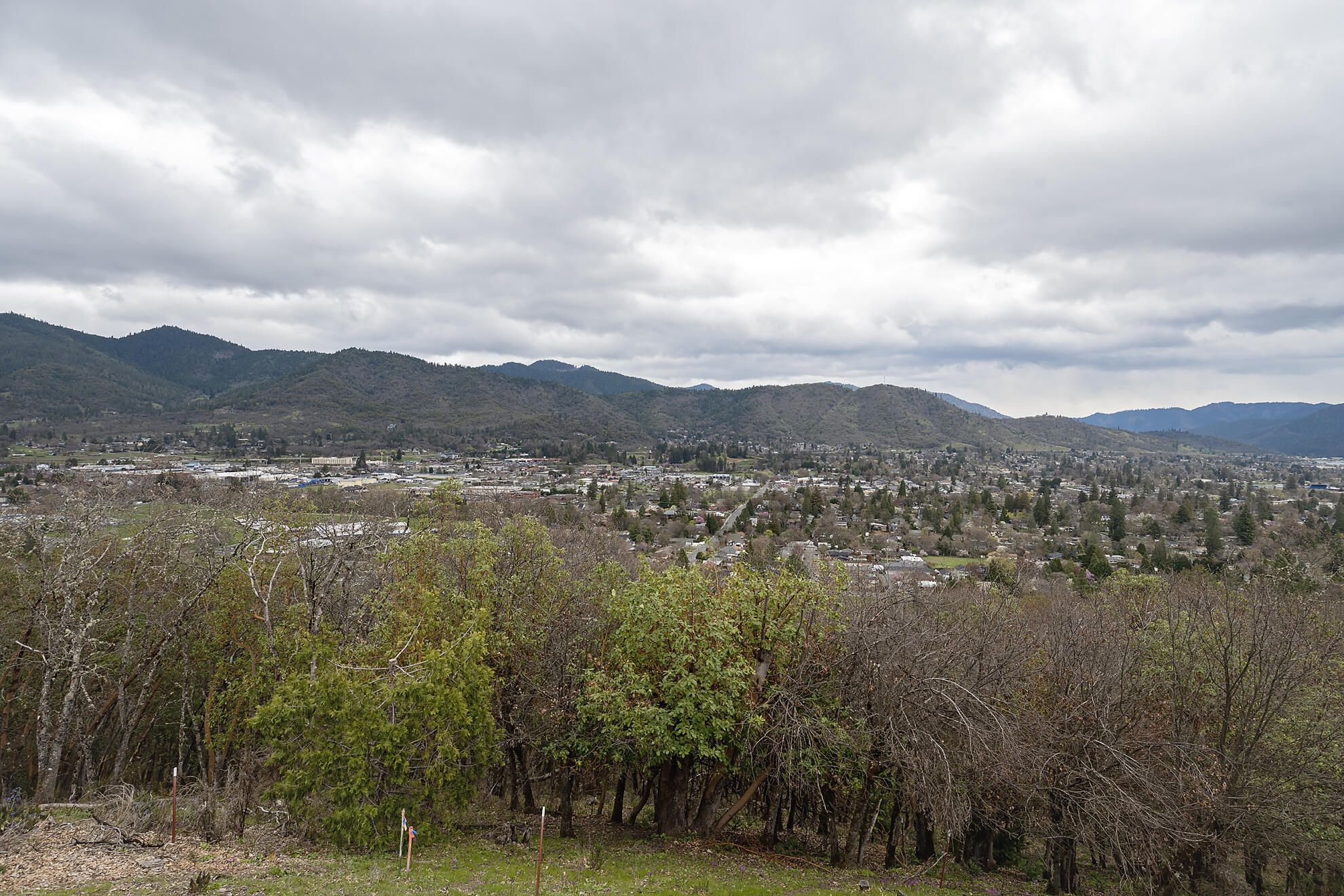 1039 NW Starlite Place