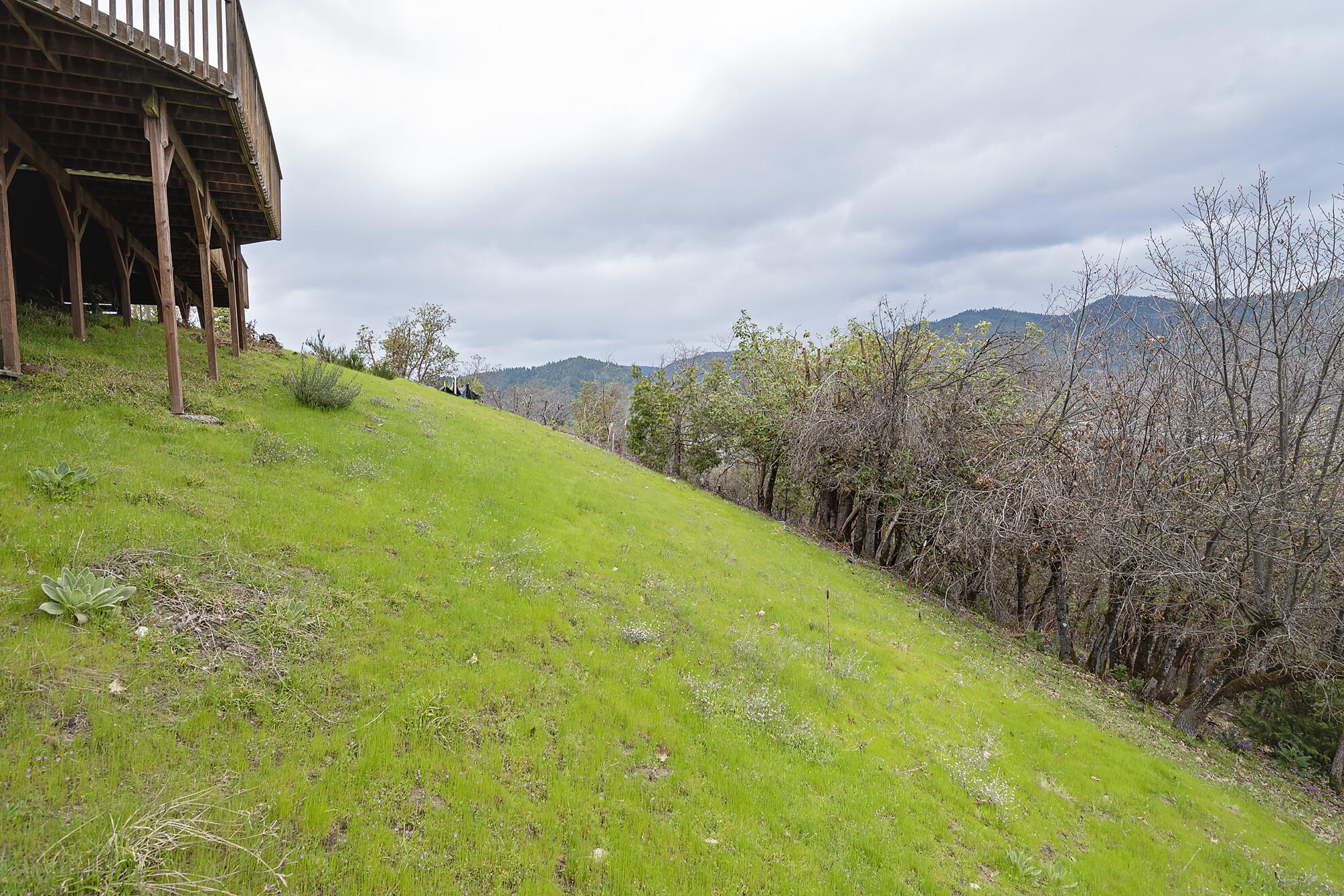 1039 NW Starlite Place