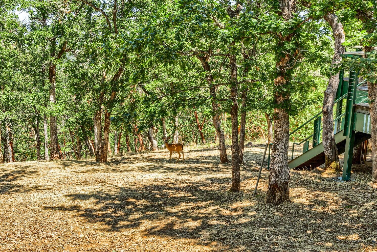 4620 Dark Hollow Road