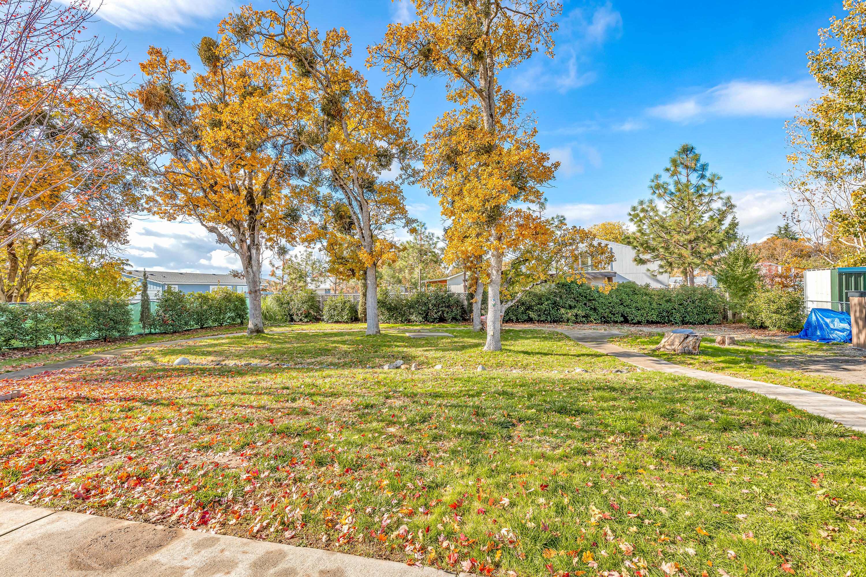 6569 Oakhurst Street