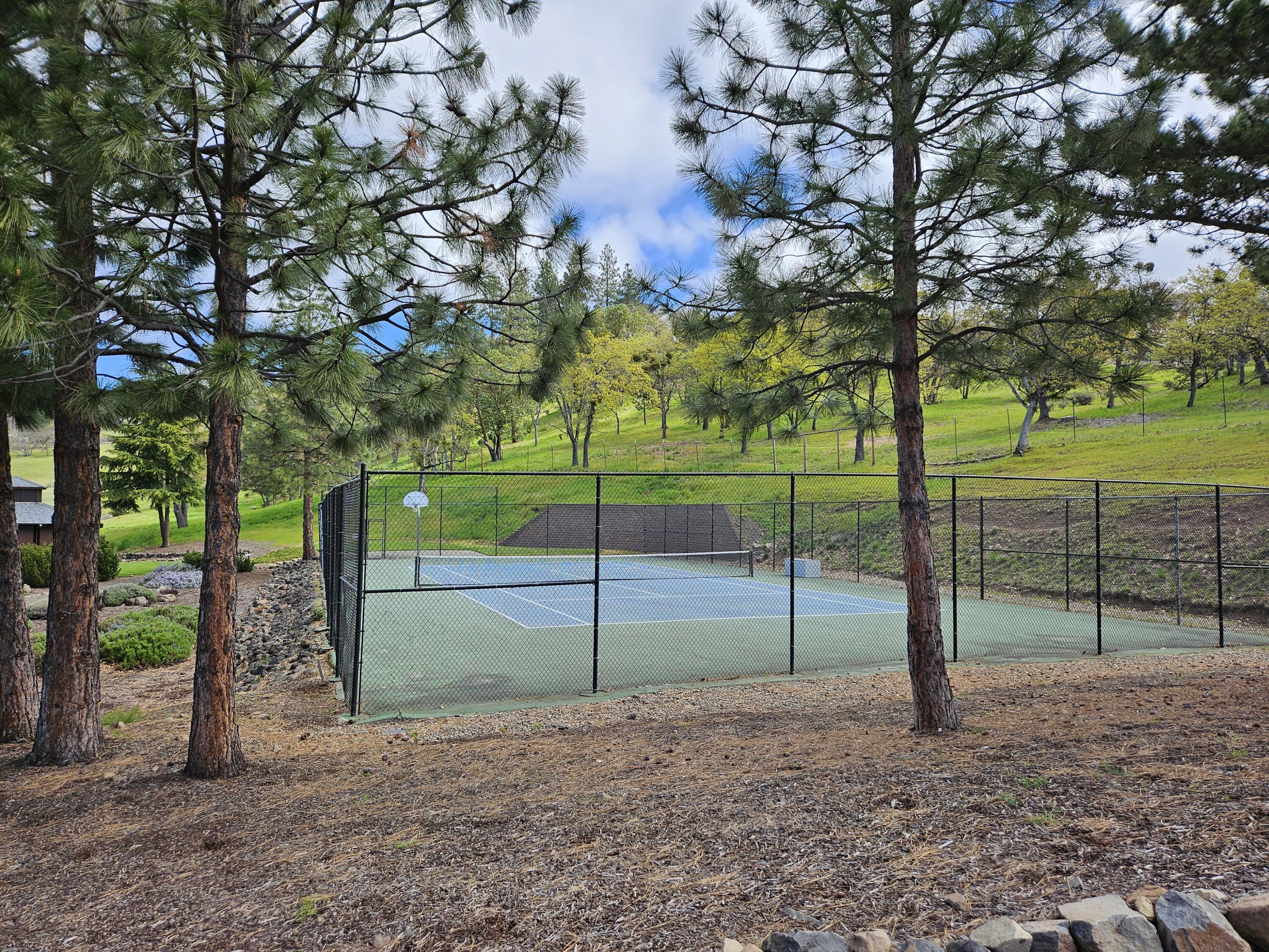 6398 Pine Ridge Drive