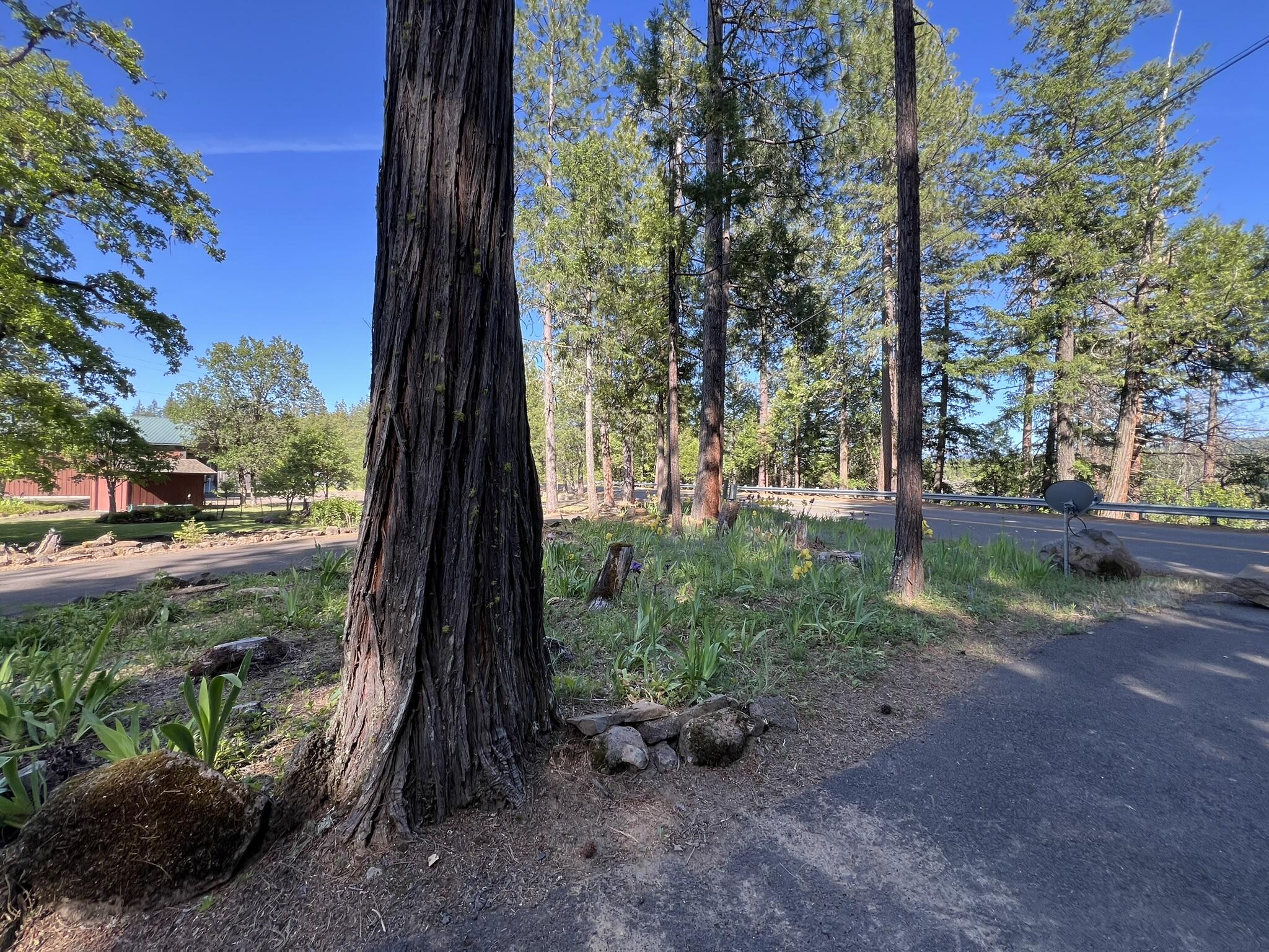 1400 Mill Creek Drive