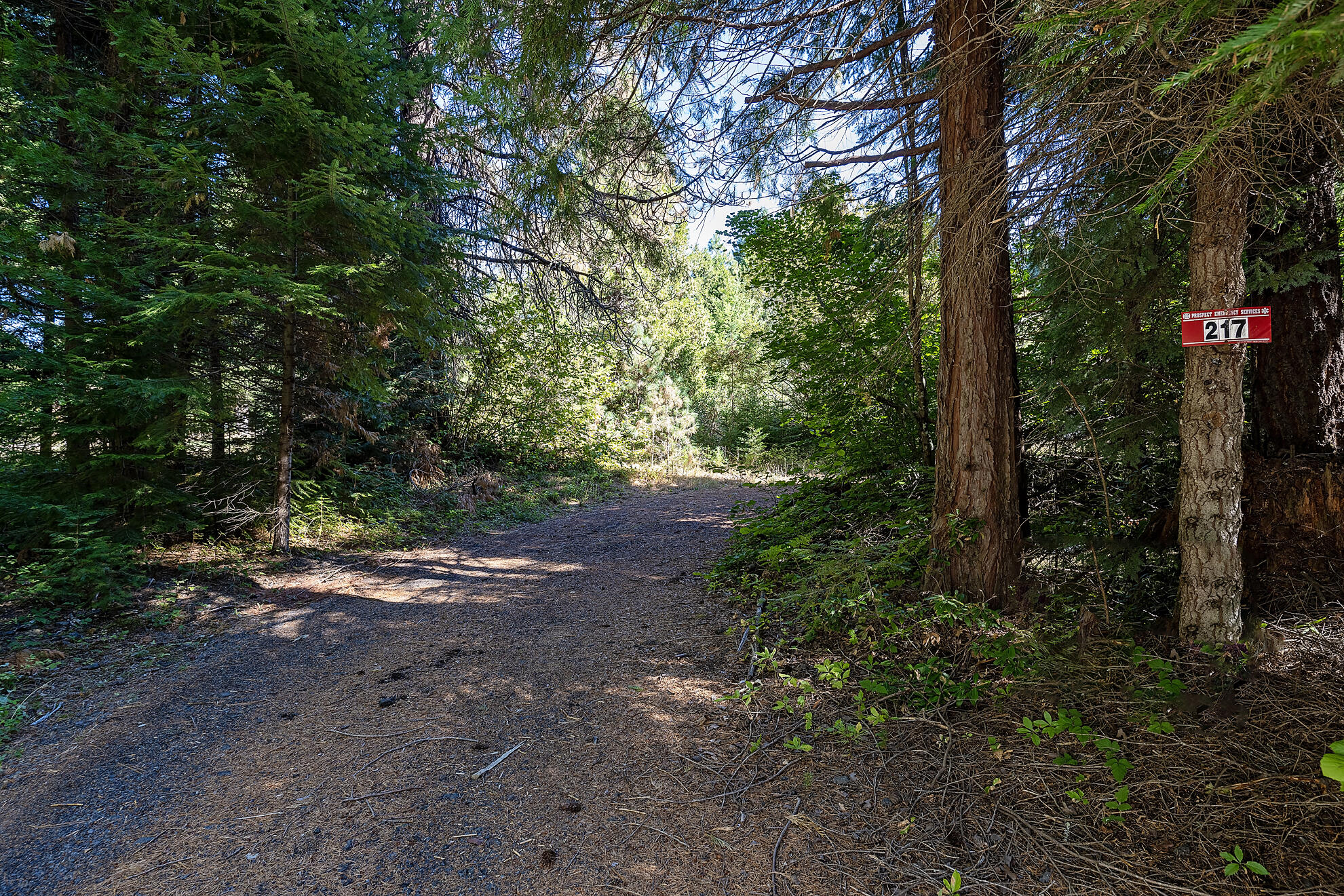 217 Mill Creek Drive