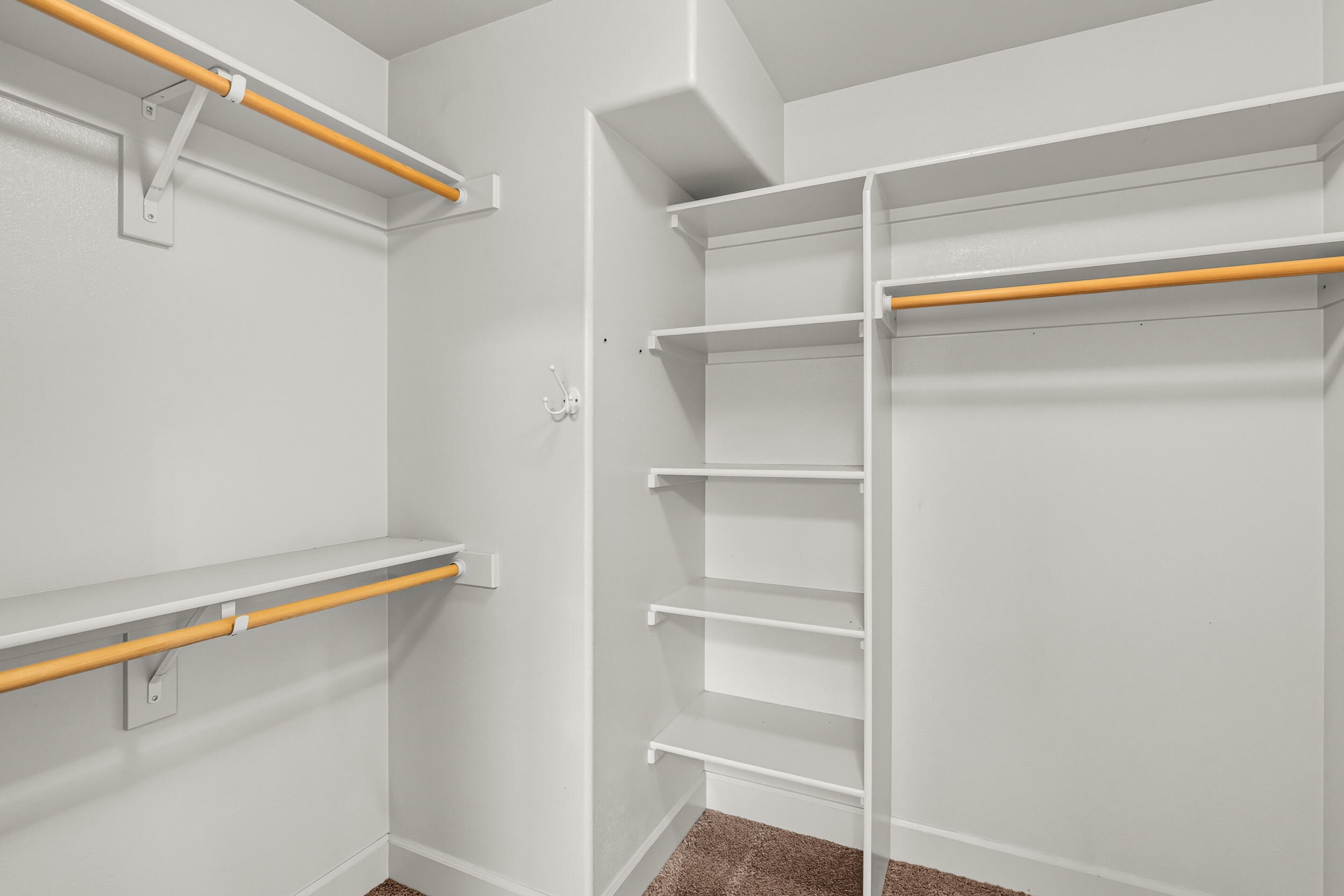 1134 Steamboat Drive