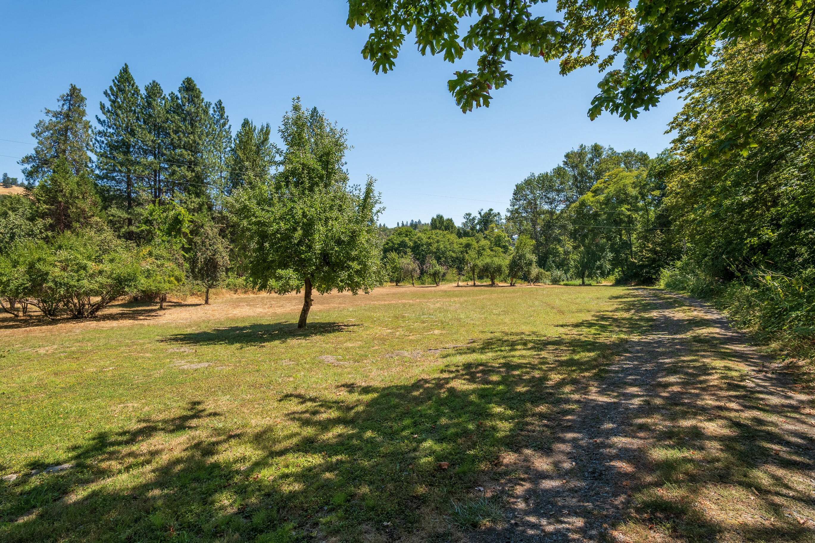 11677 Highway 238