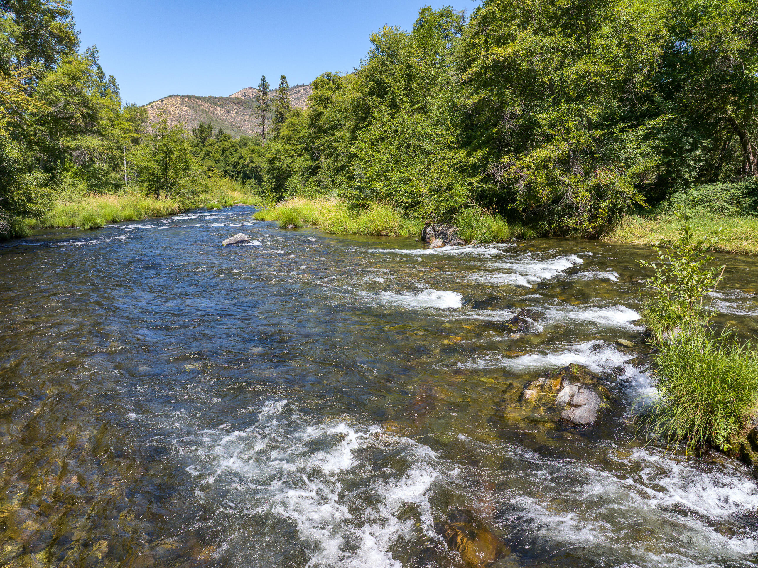 11677 Highway 238