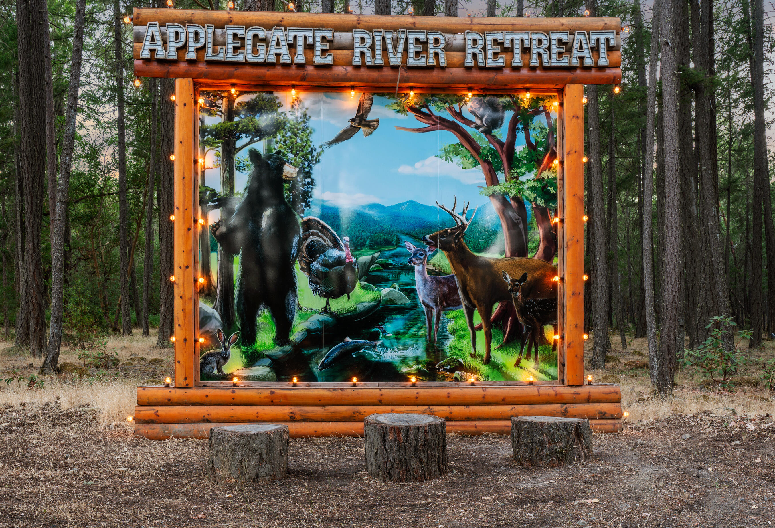 11677 Highway 238