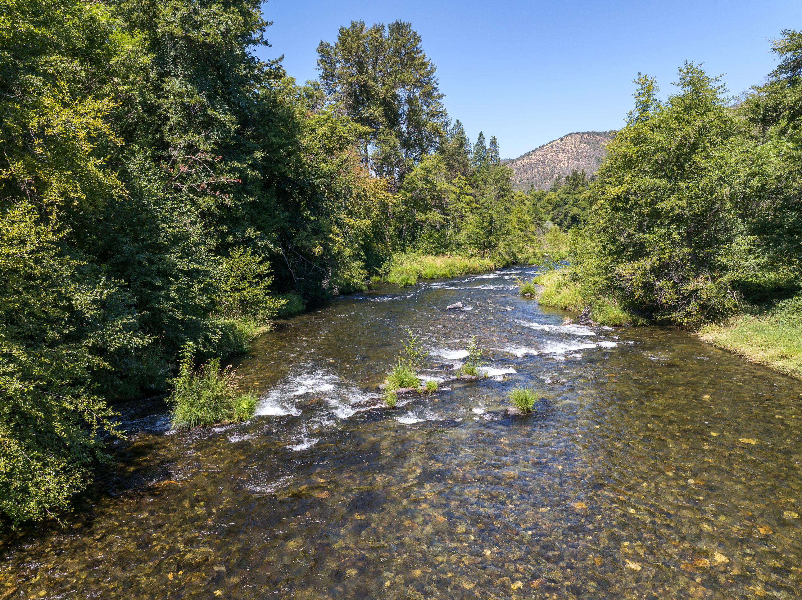 11677 Highway 238