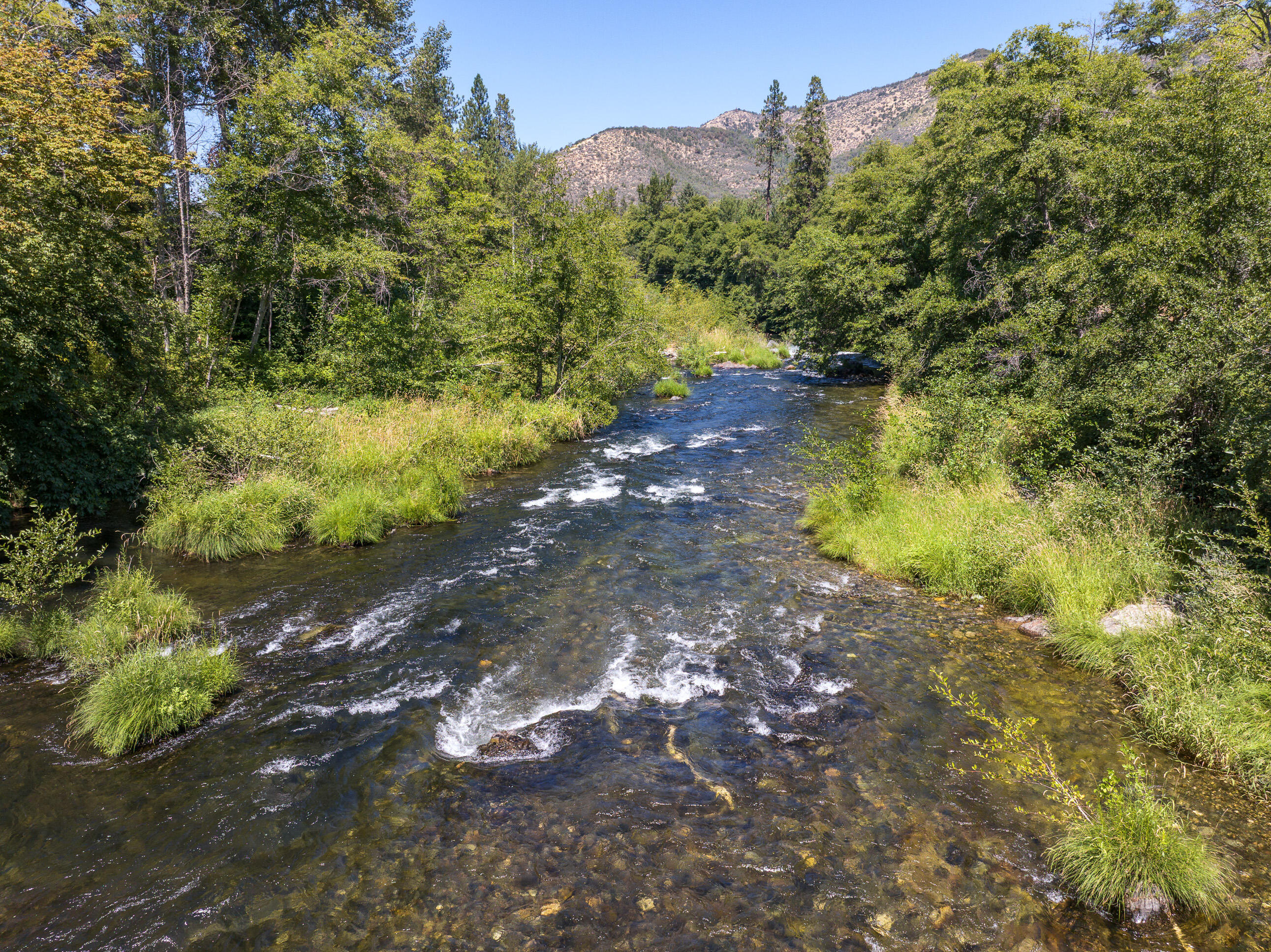11677 Highway 238