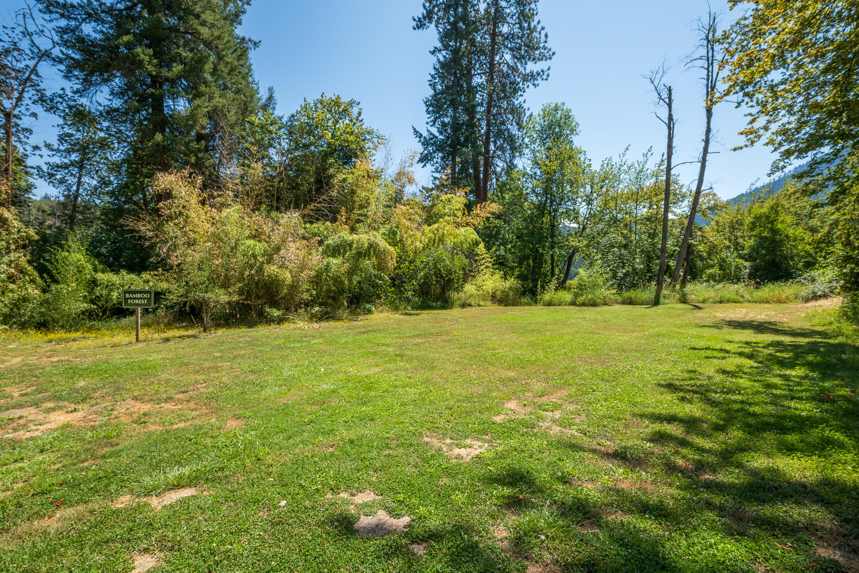11677 Highway 238