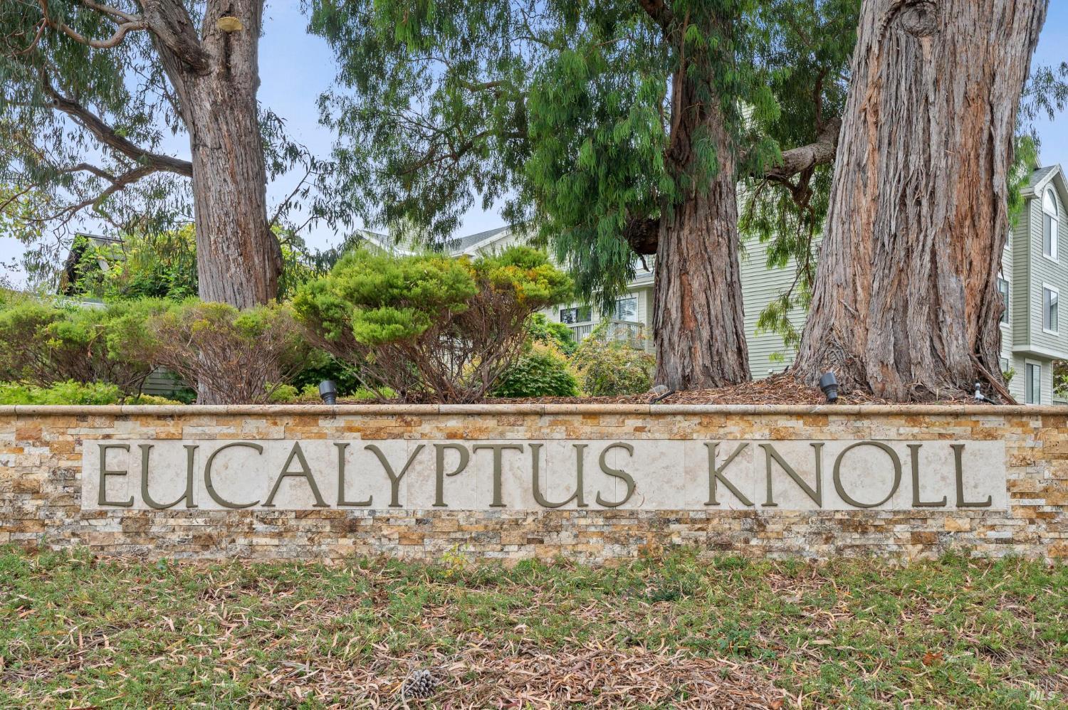 121 Eucalyptus Knoll St