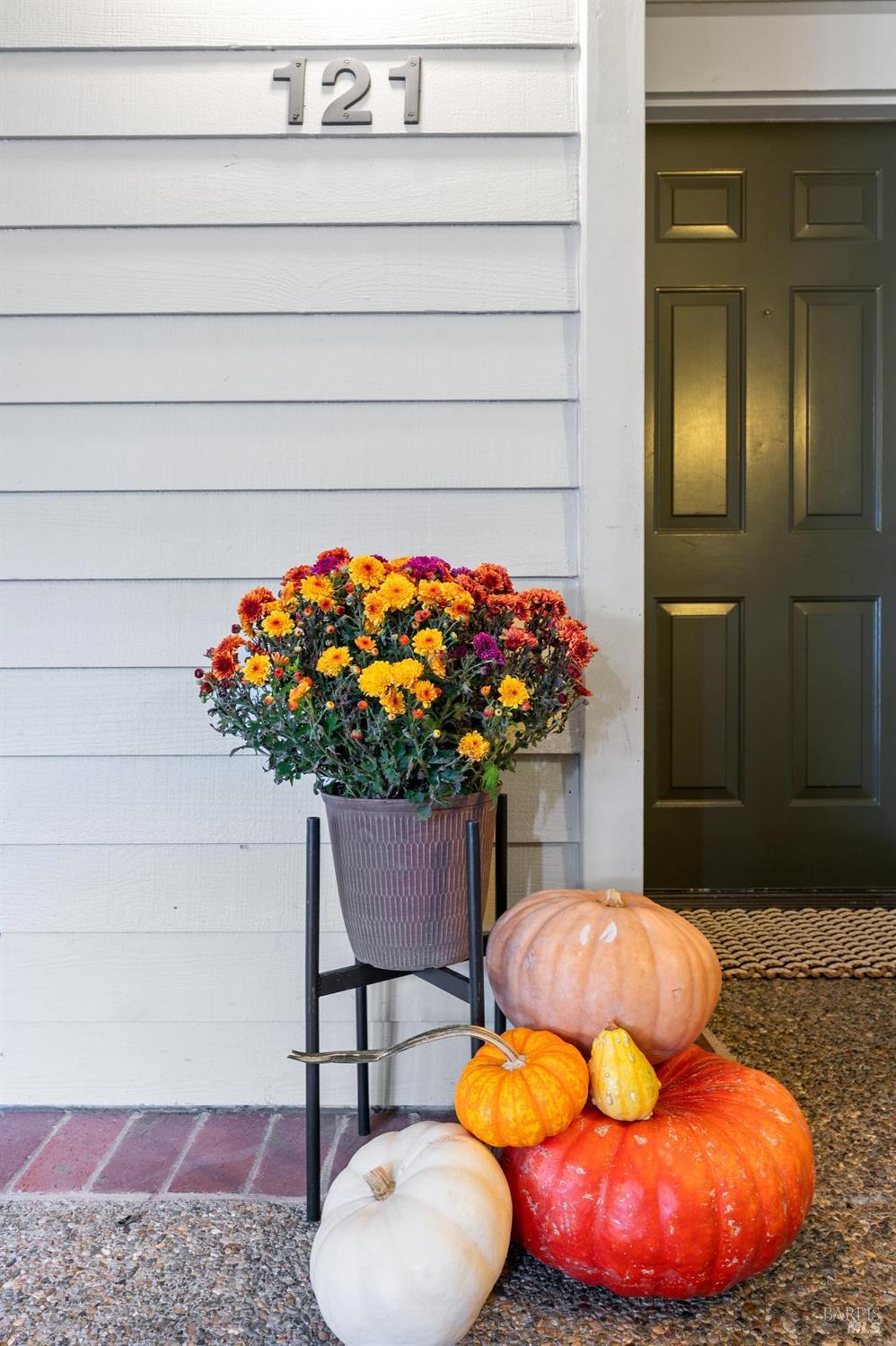 121 Eucalyptus Knoll St